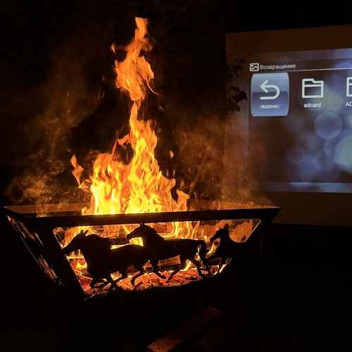 Photo #14012611