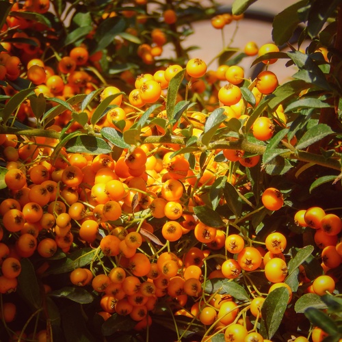 Photo #14012809