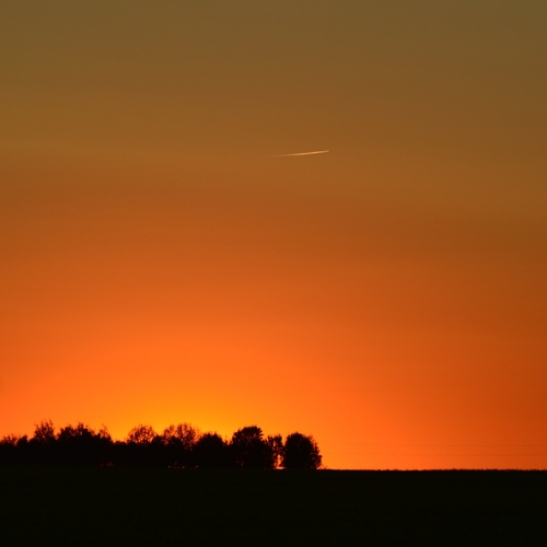 Photo #14012818