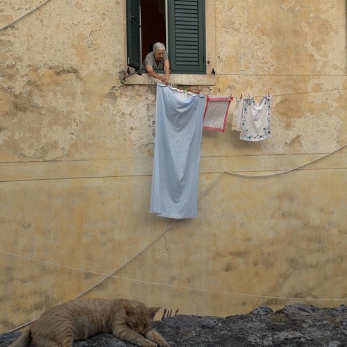 Photo #14012998