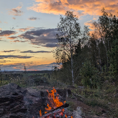 Photo #14013019