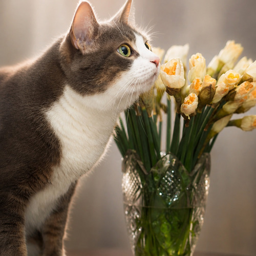 Photo #14013405