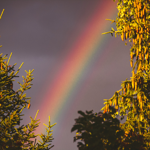 Photo #14013415