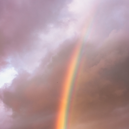 Photo #14013417
