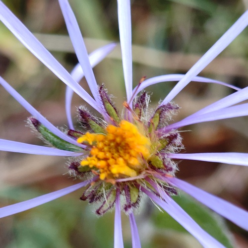 Photo #14013468
