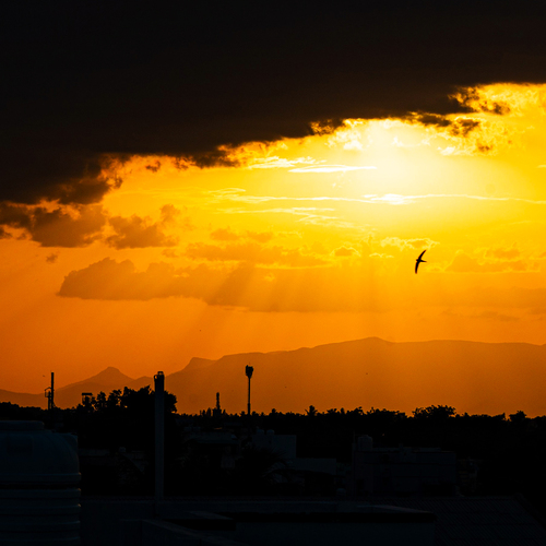 Photo #14013492