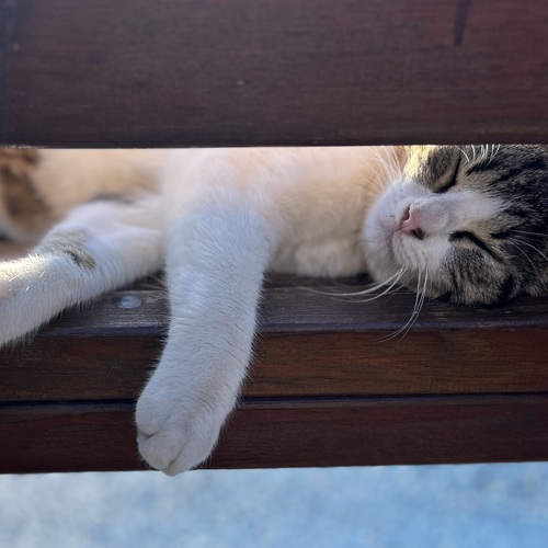 Photo #14013566