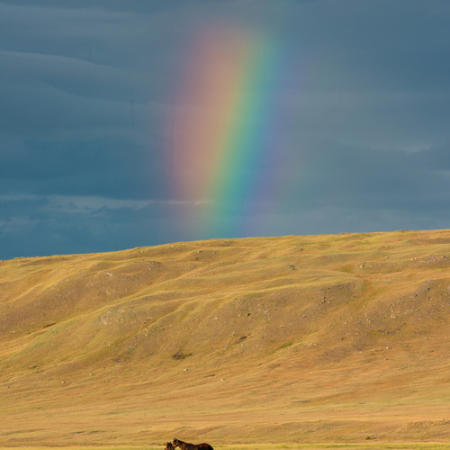 Photo #14013746