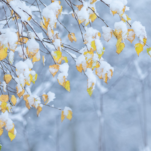 Photo #14013913
