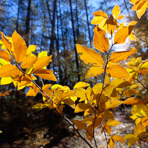 Photo #14014008