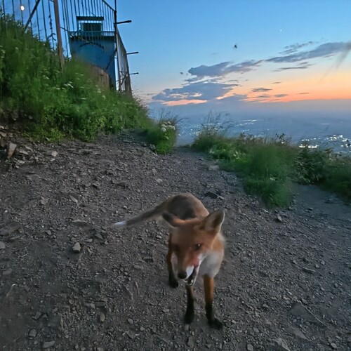 Photo #14014127