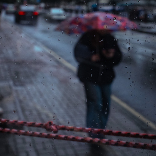 Photo #14014132