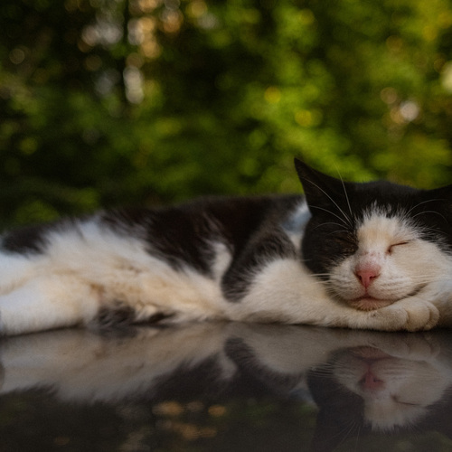 Photo #14014145