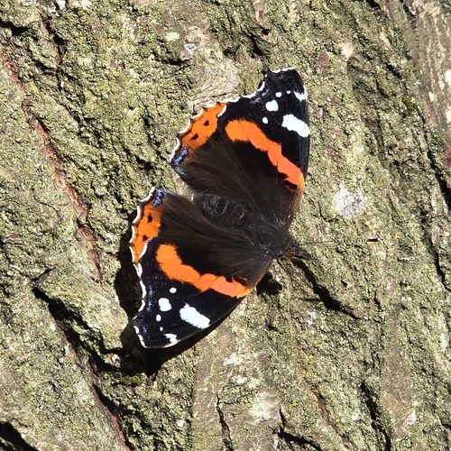 Photo #14014173