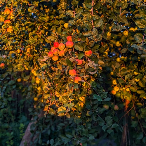 Photo #14014179