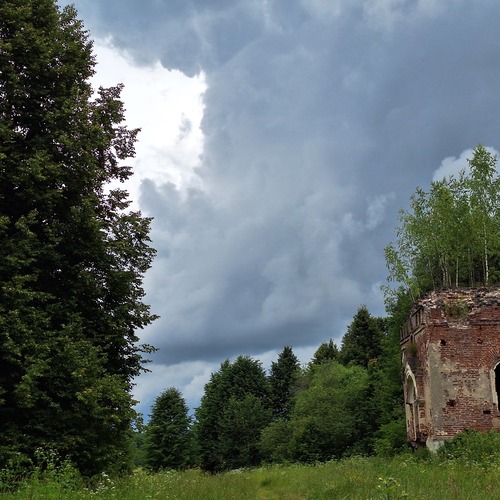 Photo #14014200