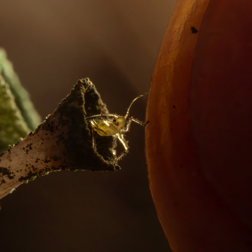 Photo #14014246