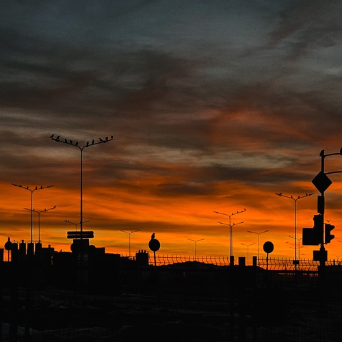 Photo #14014247