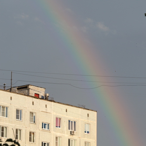 Photo #14014362