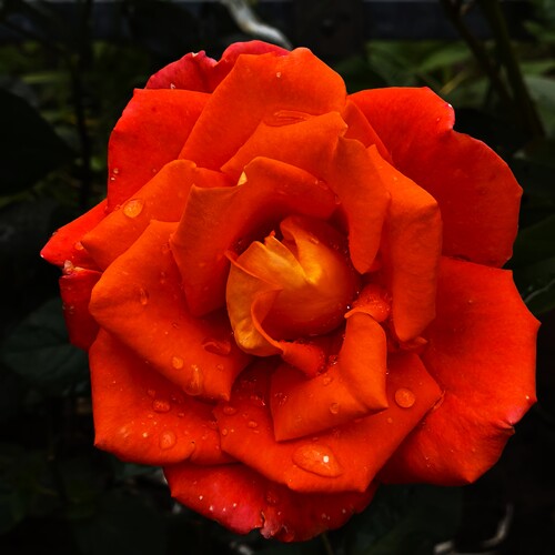 Photo #14014443
