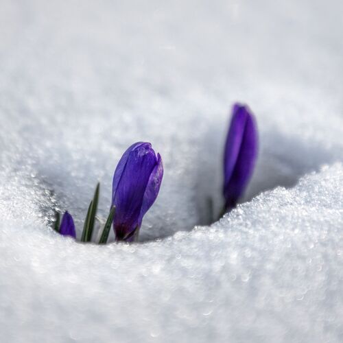 Photo #14014495