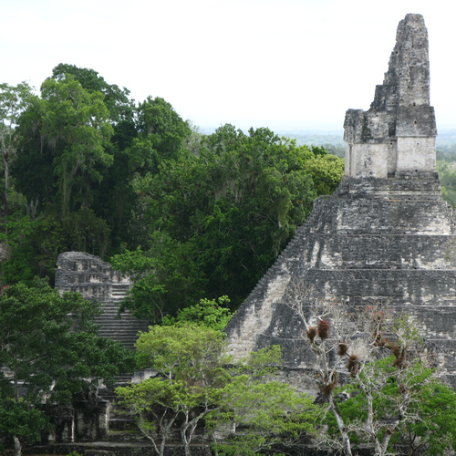 Photo #14014501