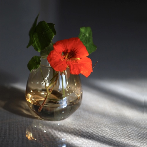 Photo #14014558