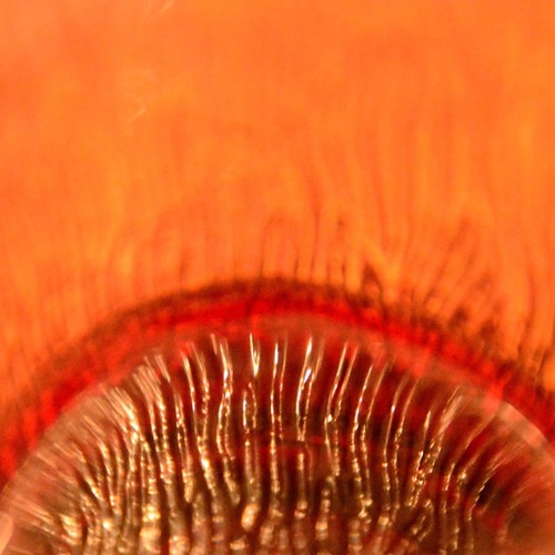 Photo #14014601