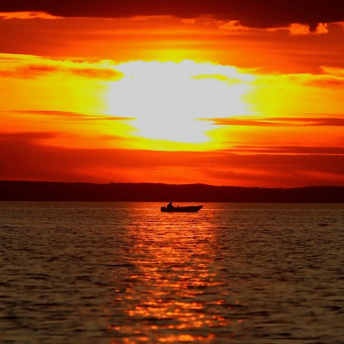 Photo #14014709