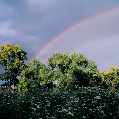 Photo #14015155