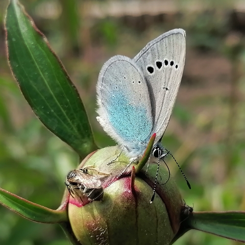 Photo #14015347