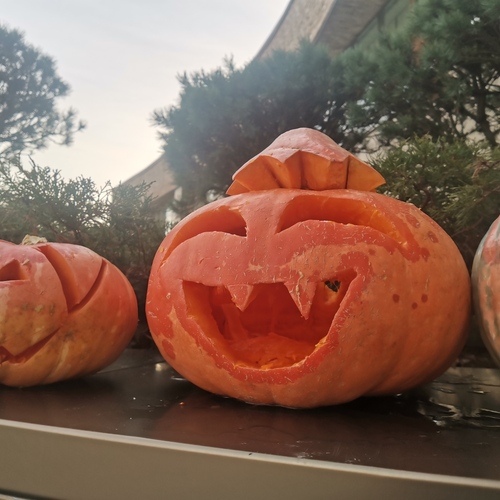 Photo #14015383