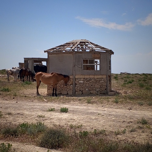 Photo #14015441