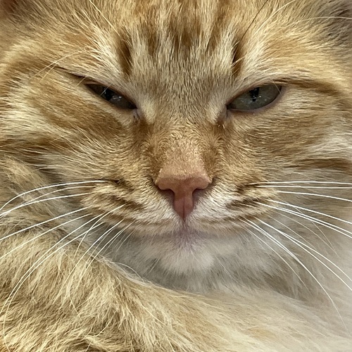 Photo #14015519
