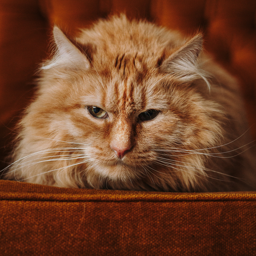 Photo #14015529