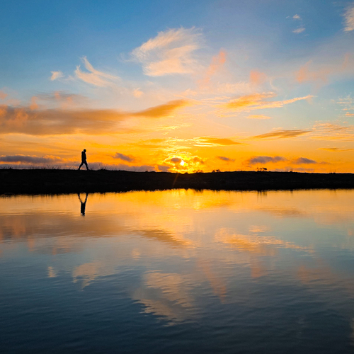 A Solitary Walk Into the Sunset