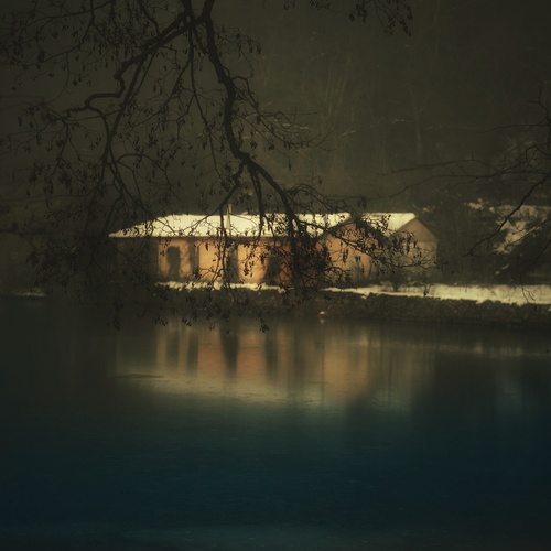 Photo #14015857