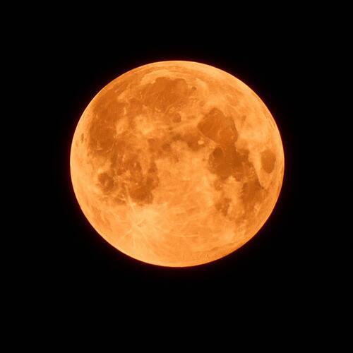 Luna Orange
