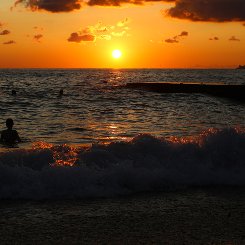 Photo #14016124