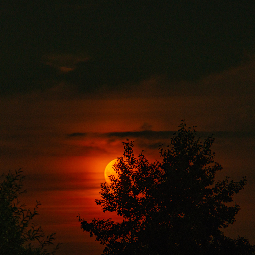 Photo #14016193
