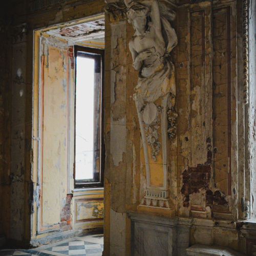 Photo #14016305