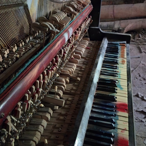 Photo #14016351