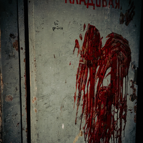 Photo #14016353