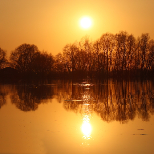 Photo #14016354