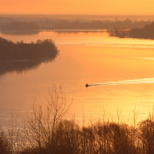 Photo #14016358