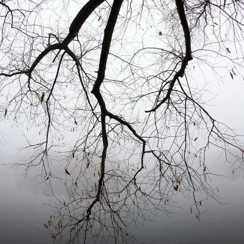 Photo #14016474