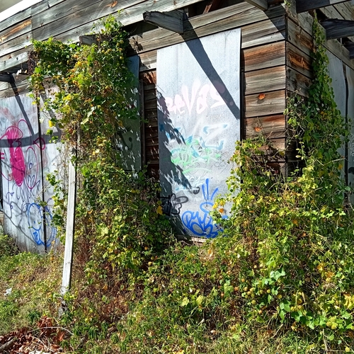 Photo #14016511