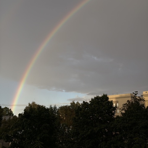 Photo #14016543