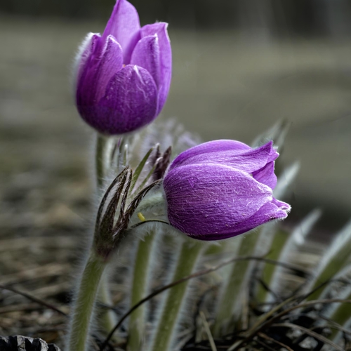 Photo #14016568