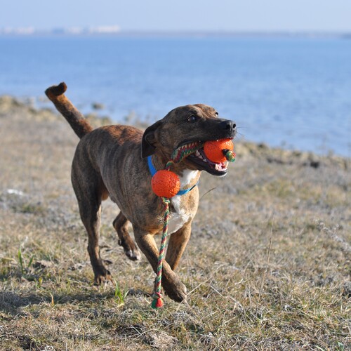 Photo #14016571